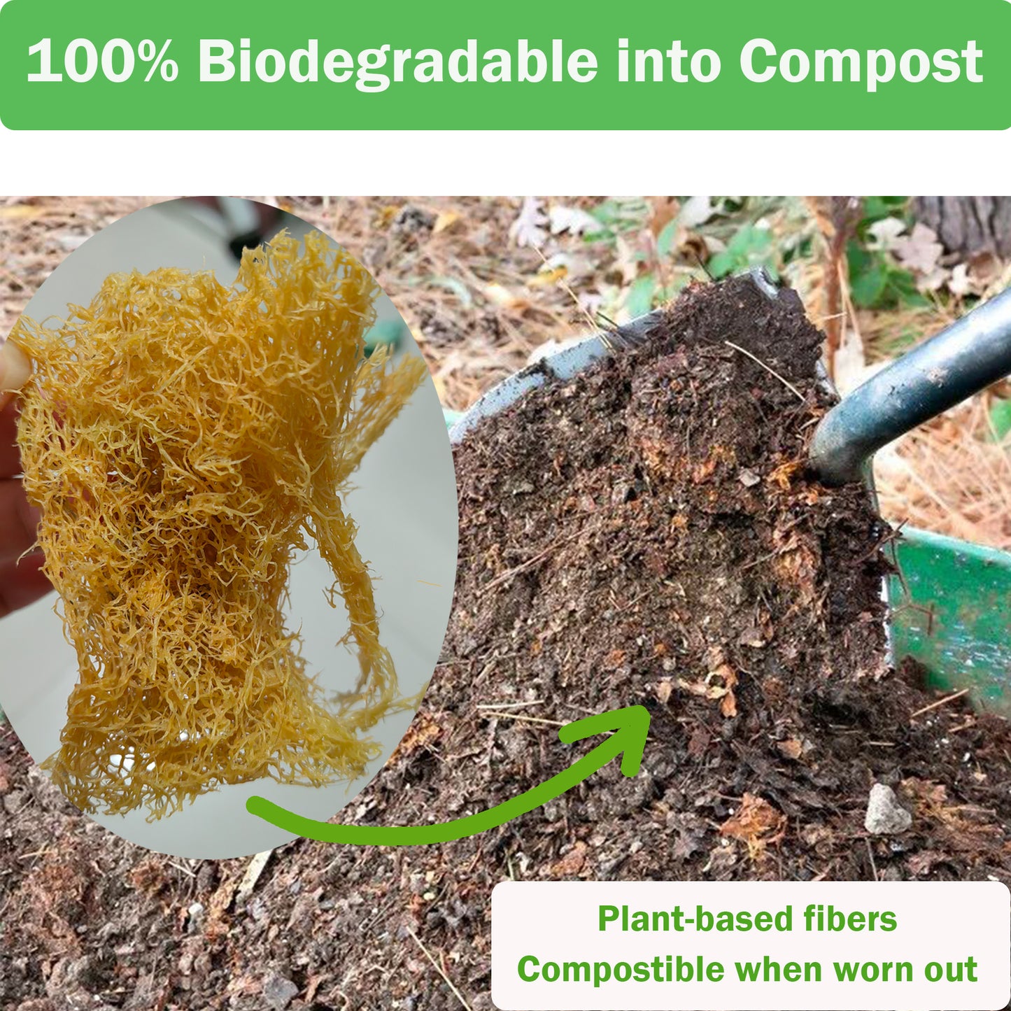 compostable loofah sponge less waste